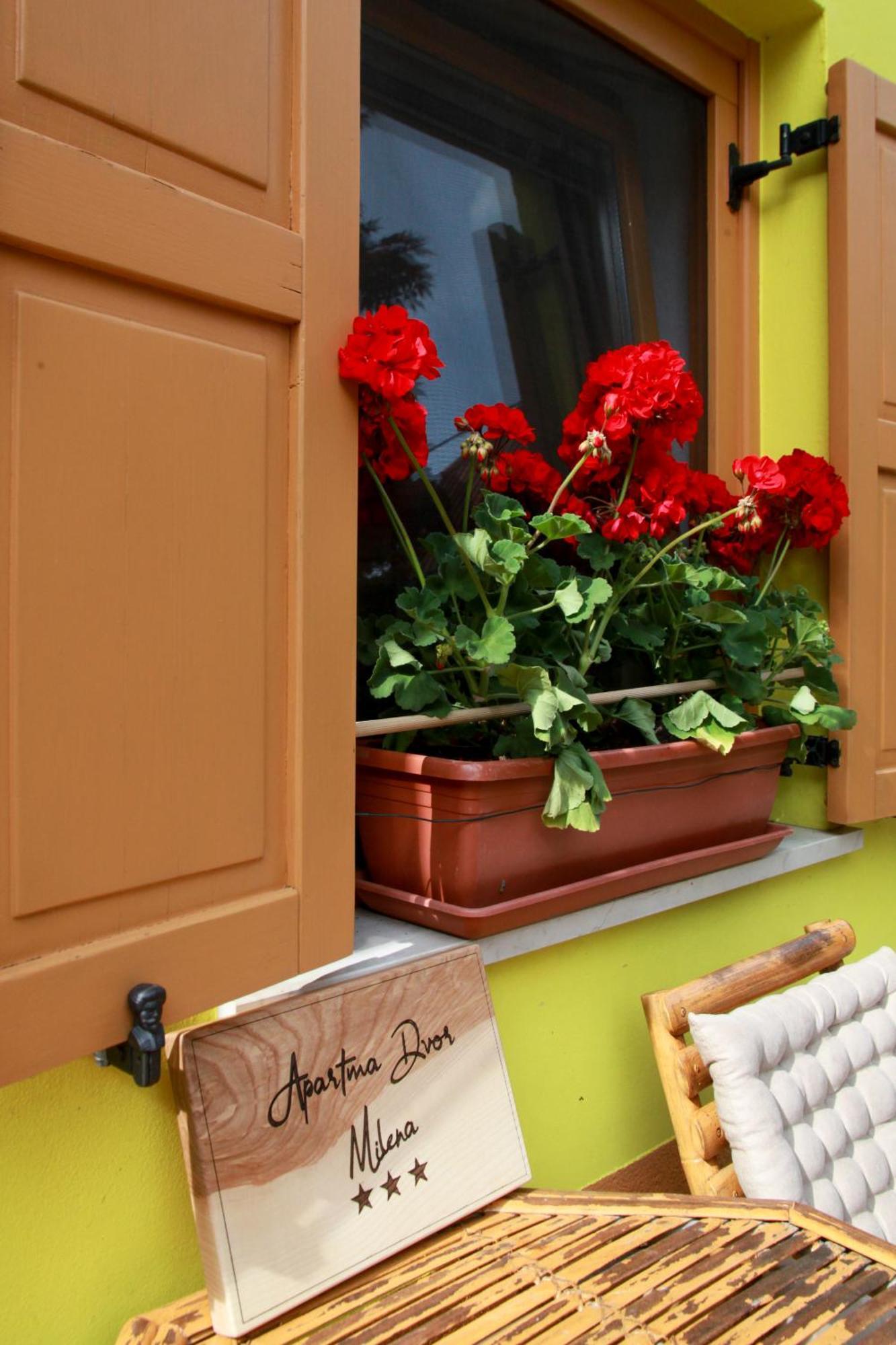 Apartma Dvor Milena Bovec Bagian luar foto